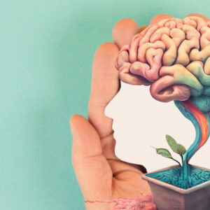 Beraten und Coachen | Okt 2026